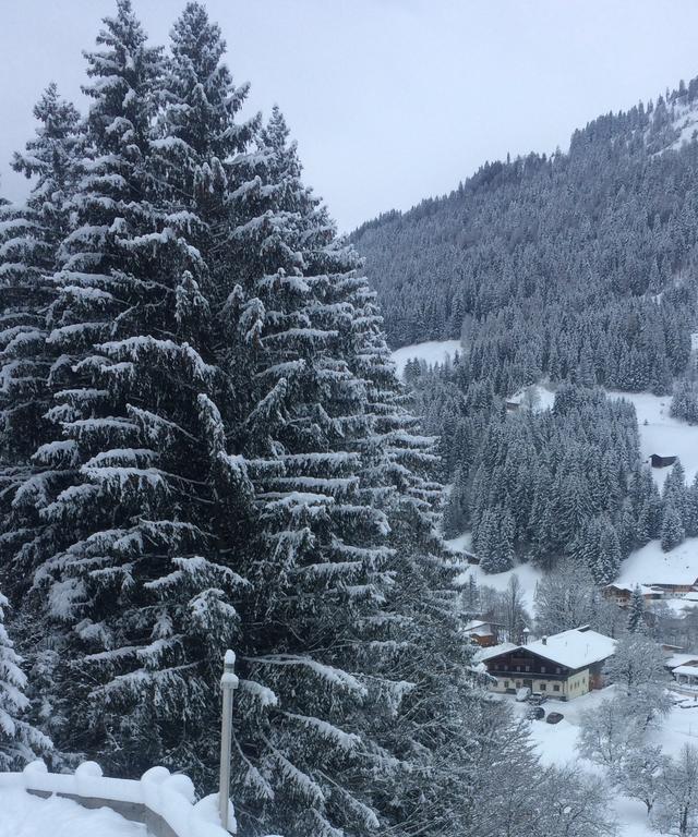 Hotel Pension Obwiesen Kirchberg in Tirol Exterior foto